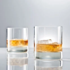 Schott Zwiesel Tritan Crystal, Paris Iceberg Crystal DOF Tumbler, Single -Best Glassware Store 0017956055 a2