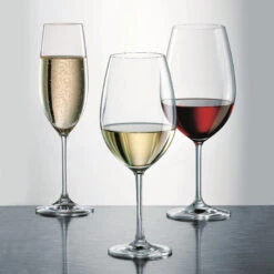 Schott Zwiesel Tritan Ivento Champagne, Single -Best Glassware Store 0027115590 a2