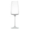 Schott Zwiesel Tritan Sensa Champagne Flute, Single -Best Glassware Store 0028120591 a1