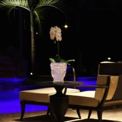 Lalique Bacchantes XXL 13.5" Vase, Clear, Limited Edition -Best Glassware Store 10119500 lq bacchantes fl2B1200