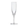 Steuben Century Champagne Glass, Single -Best Glassware Store 2505VAA a1