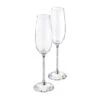 Swarovski Crystalline Toasting Flutes Pair -Best Glassware Store 255678 a1