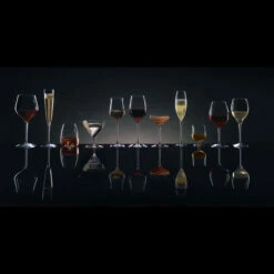 Waterford Crystal, Elegance Martini Glasses, Pair -Best Glassware Store 40001106 w elegancecoll1200