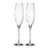 Waterford Crystal Elegance Optic Classic Champagne Toasting Flutes, Pair -Best Glassware Store 40027218 a1