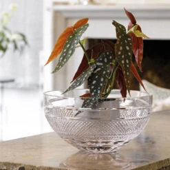 Waterford Crystal Mastercraft Copper Coast Bowl 12", Limited Edition -Best Glassware Store 40034068 a3