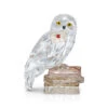 Swarovski Harry Potter's Owl, Hedwig -Best Glassware Store 5585969 a1