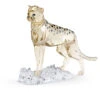 Swarovski SCS 2023 Elegance Of Africa, Cheetah Baby -Best Glassware Store 5636484 a1