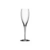 Orrefors More Champagne Flutes, Set Of Four -Best Glassware Store 6310101 a1