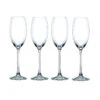 Nachtmann Vivendi Champagne, Set Of 4 -Best Glassware Store 85695R a1