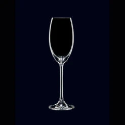 Nachtmann Vivendi Champagne, Set Of 4 -Best Glassware Store 85695R a2