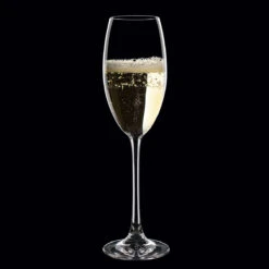 Nachtmann Vivendi Champagne, Set Of 4 -Best Glassware Store 85695R a3